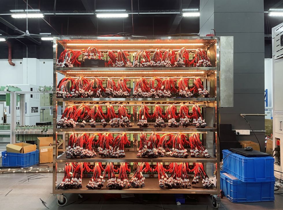 BMS Aging Rack