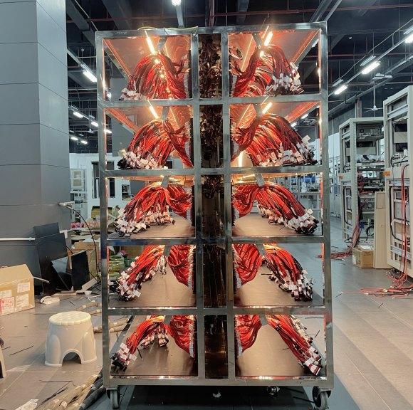 BMS Aging Rack